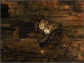 Idąc dalej korytarzem natrafimy na rozległą komnatę z dziurą na ziemi - Wyspa Faranga (2) | Rozdział 2 | Solucja Risen - Risen - poradnik do gry