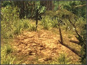 Pora na przeszukanie pięciu anonimowych grobów rozsianych po wyspie - Wyspa Faranga (3) | Rozdział 2 | Solucja Risen - Risen - poradnik do gry