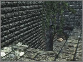 4 - Zadania dodatkowe | Rozdział 3 | Solucja Risen - Risen - poradnik do gry