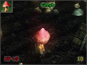 5 - Alchemia | Umiejętności, aktywności i walka | Risen - Risen - poradnik do gry