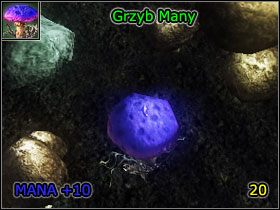 8 - Alchemia | Umiejętności, aktywności i walka | Risen - Risen - poradnik do gry