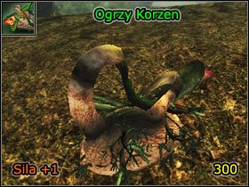 10 - Alchemia | Umiejętności, aktywności i walka | Risen - Risen - poradnik do gry