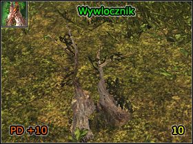 13 - Alchemia | Umiejętności, aktywności i walka | Risen - Risen - poradnik do gry