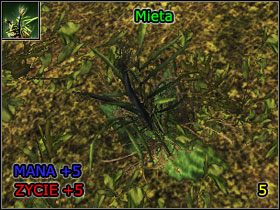 15 - Alchemia | Umiejętności, aktywności i walka | Risen - Risen - poradnik do gry