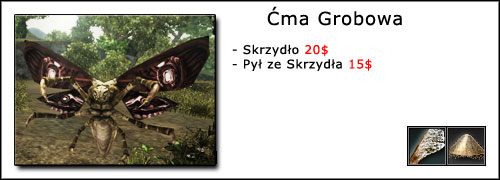 6 - Oprawianie Zwierząt | Umiejętności, aktywności i walka | Risen - Risen - poradnik do gry