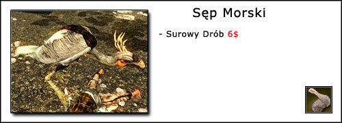 9 - Oprawianie Zwierząt | Umiejętności, aktywności i walka | Risen - Risen - poradnik do gry