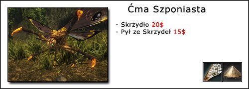 11 - Oprawianie Zwierząt | Umiejętności, aktywności i walka | Risen - Risen - poradnik do gry