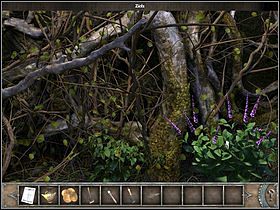 10 - Lądowisko | Wyspa Bimini | Chronicles of Mystery Drzewo Życia - Chronicles of Mystery: Drzewo Życia - poradnik do gry