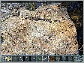 3 - Wioska | Wyspa Bimini | Chronicles of Mystery Drzewo Życia - Chronicles of Mystery: Drzewo Życia - poradnik do gry