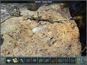 4 - Wioska | Wyspa Bimini | Chronicles of Mystery Drzewo Życia - Chronicles of Mystery: Drzewo Życia - poradnik do gry