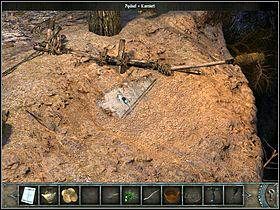 Teraz maszeruj do przysypanego piaskiem kamienia po prawej (zbliżenie) - Wioska | Wyspa Bimini | Chronicles of Mystery Drzewo Życia - Chronicles of Mystery: Drzewo Życia - poradnik do gry