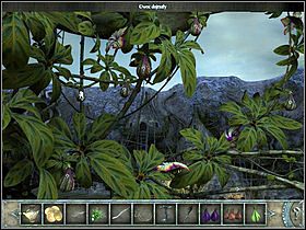 5 - Korona drzewa | Wyspa Bimini | Chronicles of Mystery Drzewo Życia - Chronicles of Mystery: Drzewo Życia - poradnik do gry