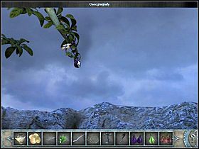 Następnie sprawdź gałęzie z prawej strony drzewa i zerwij wszystkie owoce (5 dojrzałych ) - Korona drzewa | Wyspa Bimini | Chronicles of Mystery Drzewo Życia - Chronicles of Mystery: Drzewo Życia - poradnik do gry