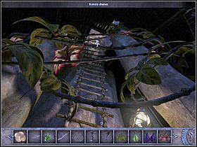 8 - Korona drzewa | Wyspa Bimini | Chronicles of Mystery Drzewo Życia - Chronicles of Mystery: Drzewo Życia - poradnik do gry