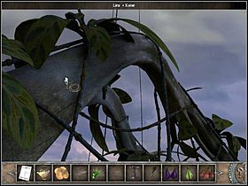 11 - Korona drzewa | Wyspa Bimini | Chronicles of Mystery Drzewo Życia - Chronicles of Mystery: Drzewo Życia - poradnik do gry