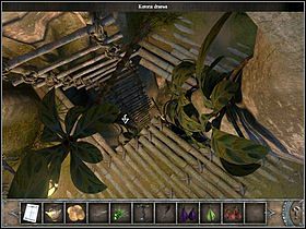 Przejdź na prawą stronę drzewa i zbadaj konar (zbliżenie) - Korona drzewa | Wyspa Bimini | Chronicles of Mystery Drzewo Życia - Chronicles of Mystery: Drzewo Życia - poradnik do gry