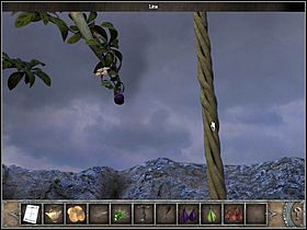 13 - Korona drzewa | Wyspa Bimini | Chronicles of Mystery Drzewo Życia - Chronicles of Mystery: Drzewo Życia - poradnik do gry