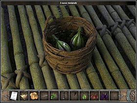 Jeszcze raz przyjrzyj się przejrzałemu owocowi po prawej (zbliżenie) - Korona drzewa | Wyspa Bimini | Chronicles of Mystery Drzewo Życia - Chronicles of Mystery: Drzewo Życia - poradnik do gry