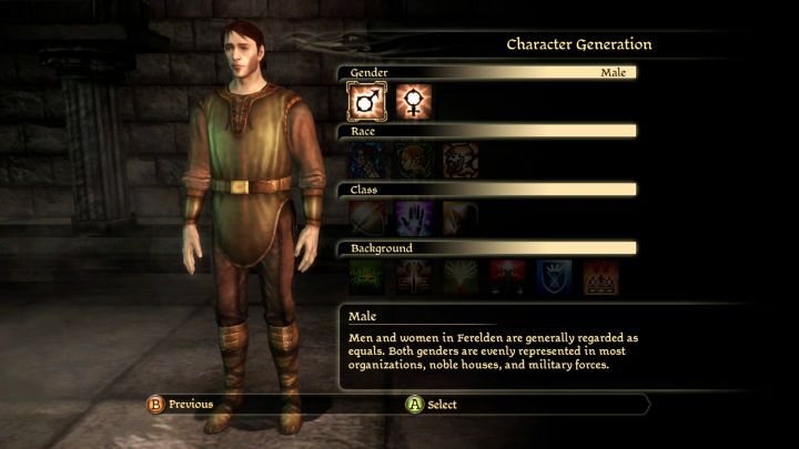 Wybór płci głównego bohatera nie wpływa na statystyki protagonisty - Dragon Age Początek: Utworzenie postaci - Dragon Age: Początek - poradnik do gry