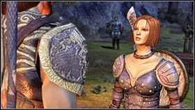 Rodzaj trofeum: brązowe - Osiągnięcia (PC i konsole) | Dragon Age Początek - Dragon Age: Początek - poradnik do gry