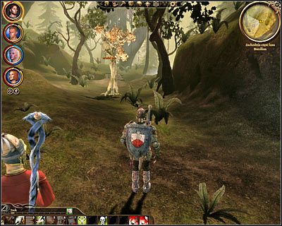 Po zakończonych walkach udaj się z całą drużyną do Wielkiego Dębu i porozmawiaj z odpowiadającym w formie rymowanek drzewem - Dragon Age Początek: Natura bestii (1) - Dragon Age: Początek - poradnik do gry