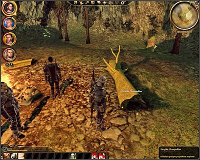 Gra poinformuje Cię teraz o tym, że udało Ci się ustalić miejsce ukrycia skarbu - Dragon Age Początek: Znak na szlaku Chasyndów (Głusza Korcari) - Dragon Age: Początek - poradnik do gry
