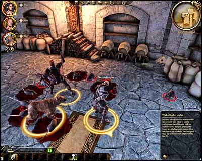 Otwórz drzwi prowadzące do [Zamek Cousland - Spiżarnia ] i wejdź do środka (M15, 4) - Dragon Age Początek: Zamieszanie w spiżarni - Dragon Age: Początek - poradnik do gry