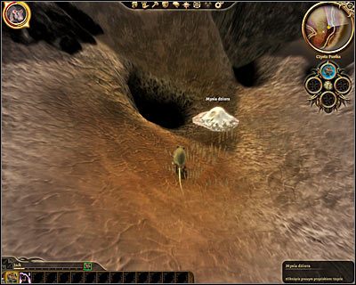 Przemień się od razu w mysz i skorzystaj z pobliskiej dziury - Dragon Age Początek: Zagubiony w snach (2) - Dragon Age: Początek - poradnik do gry