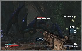 W głębi jaskini natkniesz się na spiderantlingi (lewy obrazek) , czyli coś w rodzaju zmutowanych pająków - Corrosive Crystal Harvest | New Heaven | Solucja Borderlands - Borderlands - poradnik do gry