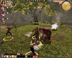 Niedźwiedzie - Potwory | Bestiariusz | Dragon Age Początek - Dragon Age: Początek - poradnik do gry