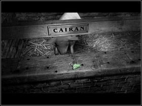 5 - Saxton I | Opis przejścia - Dzień drugi | The Lost Crown - The Lost Crown: A Ghosthunting Adventure - poradnik do gry