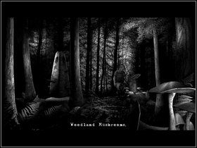 5 - Sedge Marsh Northfield (1) | Opis przejścia - Dzień drugi | The Lost Crown - The Lost Crown: A Ghosthunting Adventure - poradnik do gry