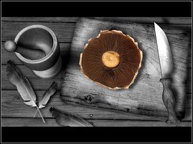 Cofnij się o lokację i idź ścieżką w górę lasu - Sedge Marsh Northfield (1) | Opis przejścia - Dzień drugi | The Lost Crown - The Lost Crown: A Ghosthunting Adventure - poradnik do gry