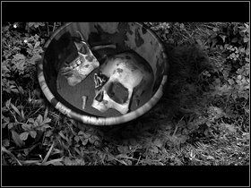 3 - Sedge Marsh Northfield (2) | Opis przejścia - Dzień drugi | The Lost Crown - The Lost Crown: A Ghosthunting Adventure - poradnik do gry