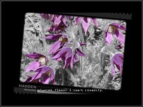 Powróć do miasta, gdzie napotkasz znów Nanny - Saxton (1) | Opis przejścia - Dzień trzeci | The Lost Crown - The Lost Crown: A Ghosthunting Adventure - poradnik do gry