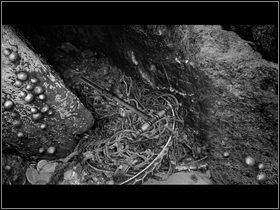 9 - Saxton (1) | Opis przejścia - Dzień trzeci | The Lost Crown - The Lost Crown: A Ghosthunting Adventure - poradnik do gry