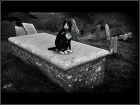 13 - Ulcombe | Opis przejścia - Dzień czwarty i piąty | The Lost Crown - The Lost Crown: A Ghosthunting Adventure - poradnik do gry