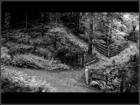 Teraz do domu marsz - Saxton II | Opis przejścia - Dzień czwarty i piąty | The Lost Crown - The Lost Crown: A Ghosthunting Adventure - poradnik do gry