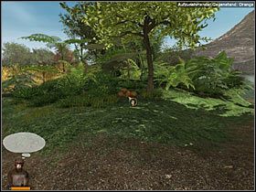 To kolejne rozstaje, na których obróć się nieco w prawo - Jep wystraszy się węża, ale szybko okaże się, że to tylko wężowa skóra - Rozdział pierwszy (1) - Opis przejścia - Return to Mysterious Island 2 - poradnik do gry