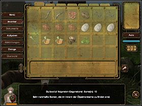 Kiedy uda Ci się pozyskać 10 nasion , przejdź do pełnego wody kamiennego bloku po lewej i każ Jepowi umyć się w nim z błota, którym małpka ubrudziła się na bagnie - Rozdział pierwszy (1) - Opis przejścia - Return to Mysterious Island 2 - poradnik do gry