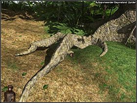 1 - Rozdział pierwszy (2) - Opis przejścia - Return to Mysterious Island 2 - poradnik do gry