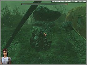 Maszeruj zatem pod czerwonolistny klon, w pobliżu miejsca, gdzie helikopter wpadł do wody - Rozdział drugi (1) - Opis przejścia - Return to Mysterious Island 2 - poradnik do gry