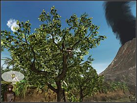 Zawróć do tartaku, a stamtąd na rozstaje (tuż za polaną ze źródełkiem) - Rozdział trzeci (3) - Opis przejścia - Return to Mysterious Island 2 - poradnik do gry