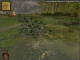 Jeśli to wszystko nie pomoże, zmuszony jesteś wrócić nad brzeg jeziora (