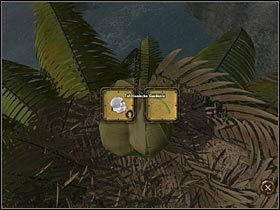 Kiedy wylądujesz na palmie, przyjrzyj się zawartości ukrytej w palmowym liściu, niczym w zgrabnym pakunku - Rozdział piąty (1) - Opis przejścia - Return to Mysterious Island 2 - poradnik do gry