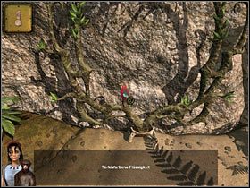 Poprawne ułożenie symboli zaowocuje wyrośnięciem zielonego pędu u szczytu kamiennej układanki - Rozdział piąty (2) - Opis przejścia - Return to Mysterious Island 2 - poradnik do gry