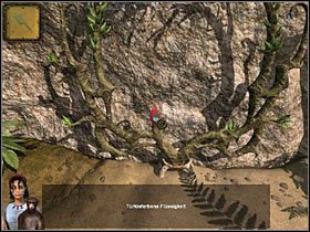 2 - Rozdział piąty (3) - Opis przejścia - Return to Mysterious Island 2 - poradnik do gry