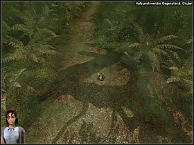 Maszeruj na rozstaje (najbliższa lokacja) i podnieś porzucony tam przez Sluggera pusty kokos oraz okular mikroskopu - Rozdział dziewiąty (1) - Opis przejścia - Return to Mysterious Island 2 - poradnik do gry