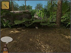 Wróć na rozstaje i teraz wędruj w dół, dróżką na wprost od mostku - Rozdział trzeci (1) - Opis przejścia - Return to Mysterious Island 2 - poradnik do gry