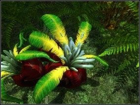 [#030] - Las (cz.2) | Opis przejścia Atlantis Evolution - Atlantis Evolution - poradnik do gry